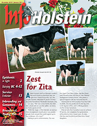 Info Holstein  Dec/Jan 2011 .PDF