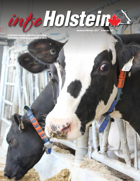 Info Holstein Jan/Feb 2017 