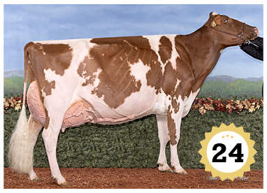 2024 Grand Champion Female