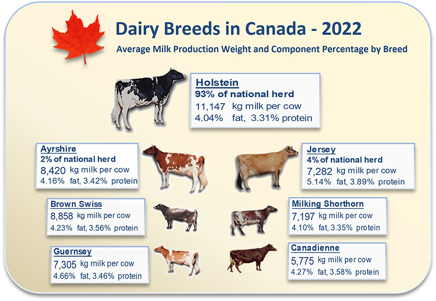 Breed Infographic