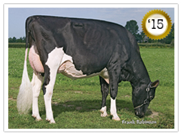 2015 - Val-Bisson Goldwyn Maya VG-88-6YR-CAN 28* (3/137) 2015 - COTY