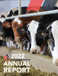 Annual Report 2022