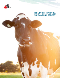 Annual Report 2019