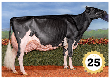 2025 Grand Champion Female