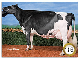 2016 - Kingsway Terrason Allie EX-95-2E-CAN 3*(11/17) 6 - COTY