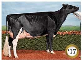 2017 - Jacobs Goldwyn Britany EX-96-2E-CAN 6* (0/32) 2017 - COTY