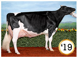2019 - Loyalyn Goldwyn June EX-97-5E-CAN 1* (0/8) 2019 - COTY
