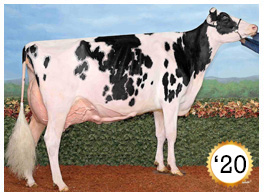 2020 - Idee Windbrook Lynzi EX-95-2E 1* 2020 - COTY