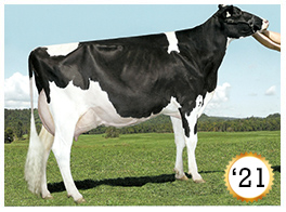 2021 - Paquet Kolya Goldwyn EX-92-4E 24* 2021 - COTY