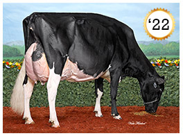 2022 - Comestar Lamadona Doorman EX-94-2E-CAN 22* 2022 - COTY