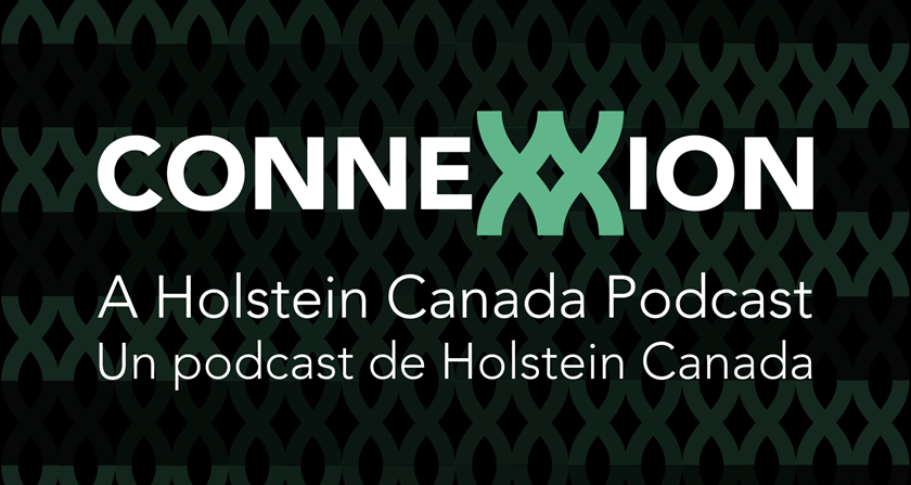 logo_holstein