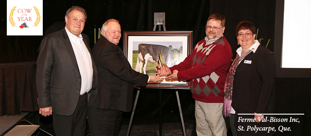 Animal Awards Animal Awards Image
