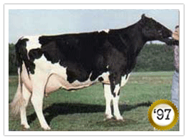 1997 - Loubel Jubilant Siliva ET EX 1* 1997 - COTY