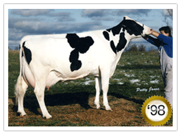 1998 - Sunnylodge Prelude Spottie VG-87-3yr 13*(14/64) 1998 - COTY