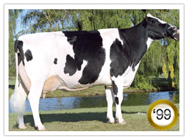 1999 - Rainyridge Tony Beauty EX-5E 1*(8/0) 1999 - COTY