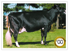2000 - Gillette Blackstar Christiane VG-88-4yr-Can 8 Star (11/40) 2000 - COTY