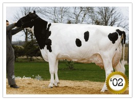 2002 -Quality Astre Felice EX-CAN 3*(8/7) 2002 - COTY