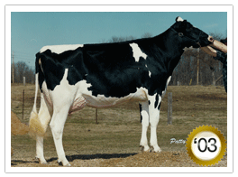 2003 -Braedale Gypsy Grand VG-88-5yr-CAN 27*(0/137) 2003 - COTY