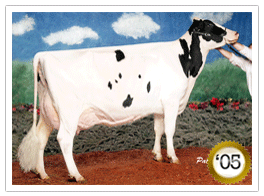 2005 -Quality B C FrantiscoEX-96-2E-CAN 2005 - COTY