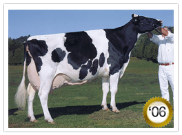 2006 -Dreane Astre Inksou EX-96-3E-CAN 1*(0/9) 2006 - COTY