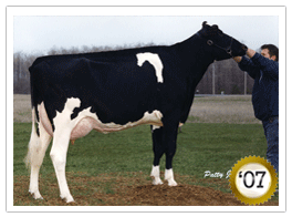 2007 -Braedale Baler Twine VG-86-2yr-CAN 20* (22/78) 2007 - COTY