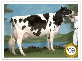 2009 -Blondin Skychief Supra EX-93-3E-CAN 15* (12/67) 2009 - COTY