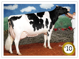 2010 - Lindenoord Rudolph Lilac EX-96-3E 8* (11/30) 2010 - COTY