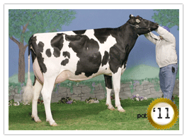 2011 - Gillette Blitz 2nd Wind VG-88-3yr-CAN 34* (5/166) 2011 - COTY