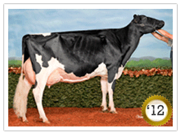 2012 - Eastside Lewisdale Gold Missy EX-95-CAN 2012 - COTY