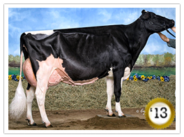 2013 - Rainyridge Talent Barbara EX-94-CAN EX-95-É.-U. 3* (4/12) 2013 - COTY