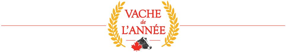 Cow of The Year Banner Cow of The Year Banner