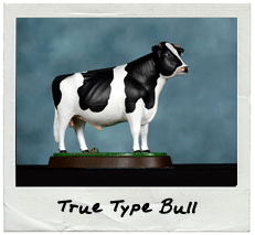 True Type Bull