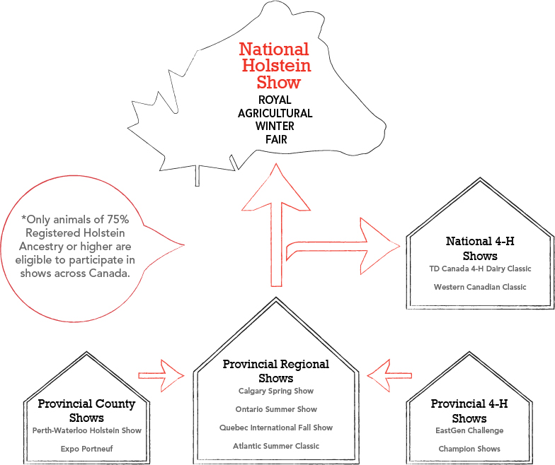 Shows Diagram Shows Diagram