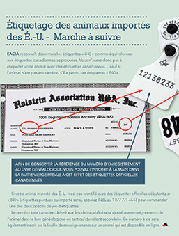 TaggingUS_GoingForward_FR