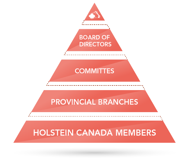 Governance Structure Governance Structure