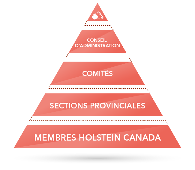 Governance Structure Governance Structure