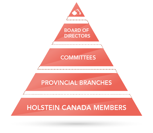 Governance Structure Governance Structure