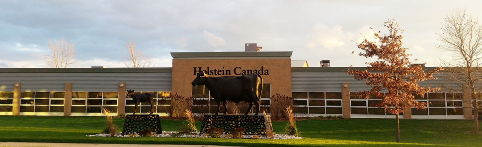 Holstein Canada Building Holstein Building