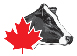 Holstein Canada Logo
