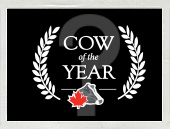 De solides candidates au titre de Vache de l’année 2013