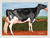 Missy Captures the Cow of the Year Crown