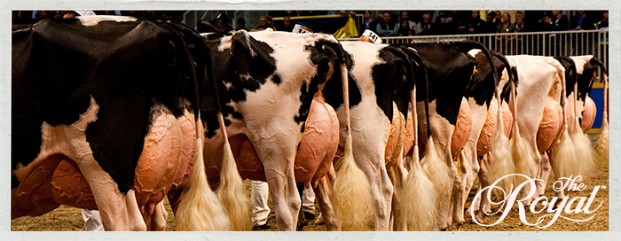 Royal Agricultural Winter Fair Royal Agricultural Winter Fair Banner