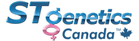 STGenetics Logo STGenetics
