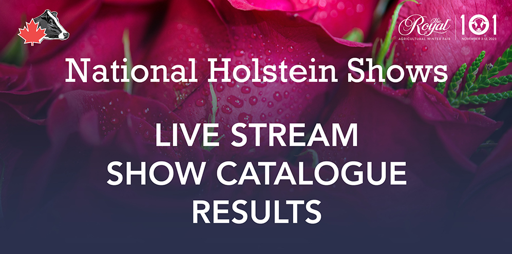 logo_holstein