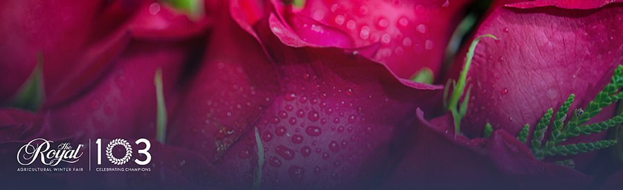 Royal Agricultural Winter Fair Banner