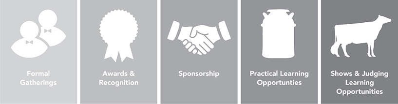 Young Leaders 5 Pillars Infograph