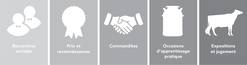 Young Leaders 5 Pillars Infograph