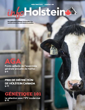 Info Holstein